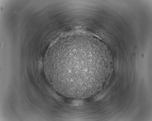 X0000085220085200703231544