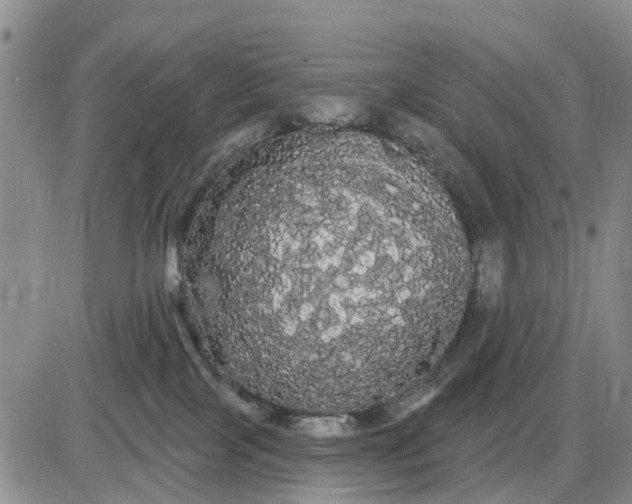 X0000085220089200703231544