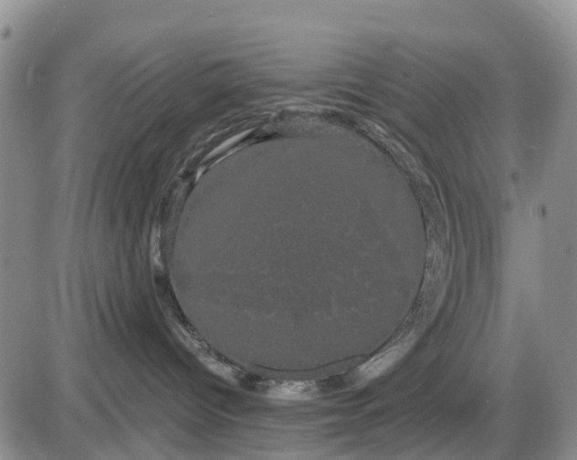 X0000085220096200703231544