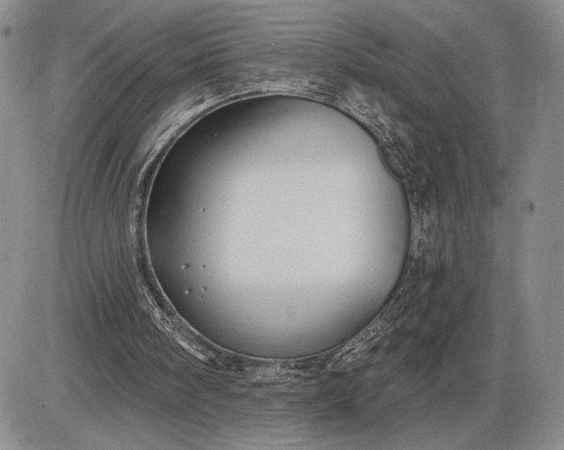 X0000085220098200703231543