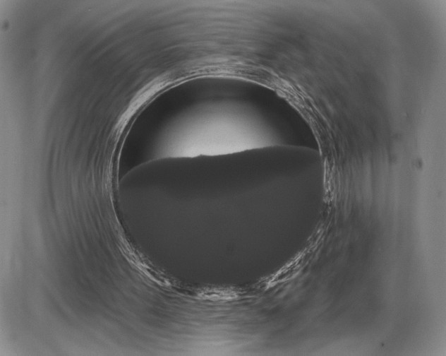 X0000085220099200703231543