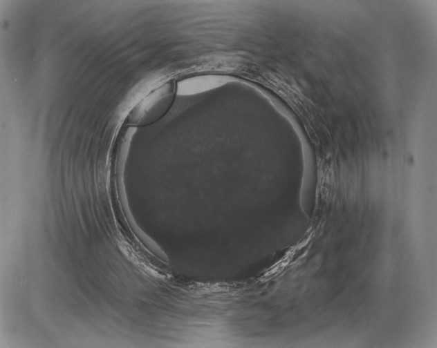 X0000085220100200703231543