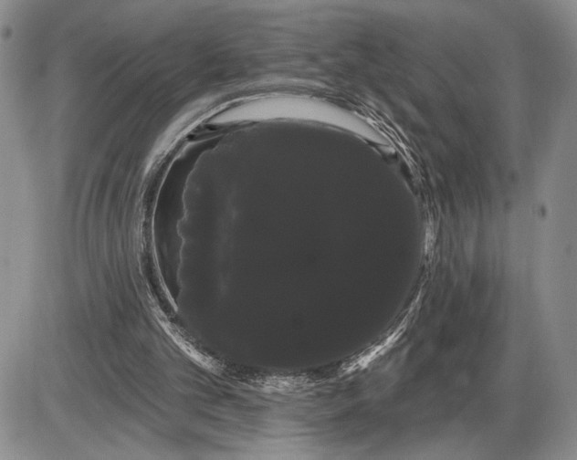 X0000085220101200703231543