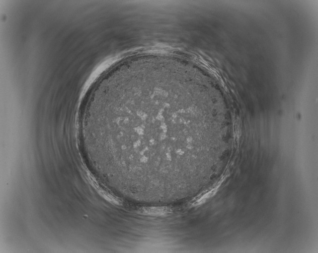 X0000085220102200703231543