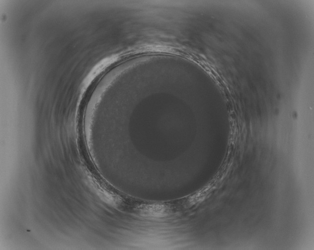 X0000085220104200703231543