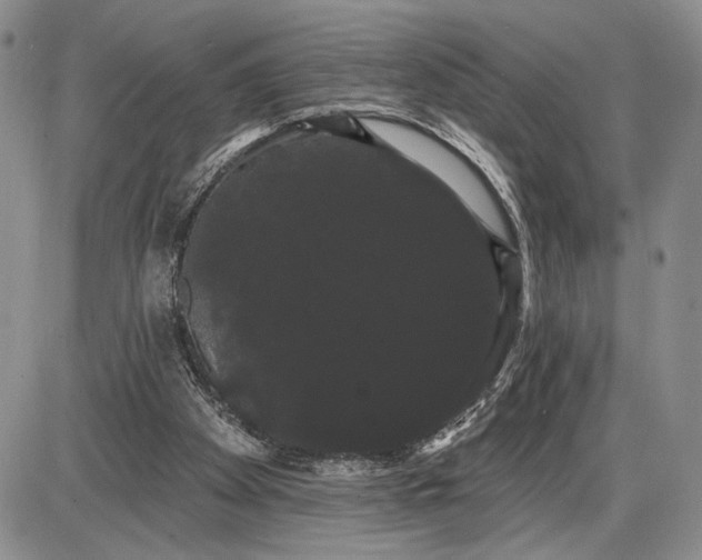 X0000085220105200703231543