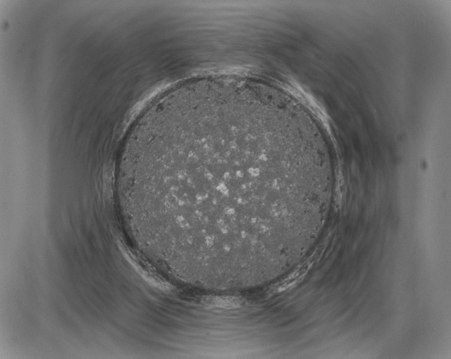 X0000085220107200703231543