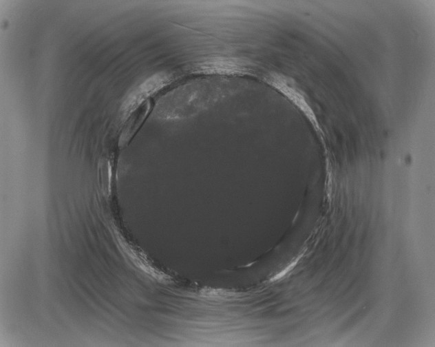 X0000085220109200703231543