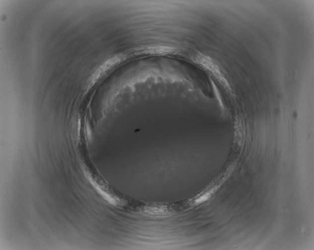 X0000085220110200703231543