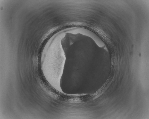 X0000085220112200703231543