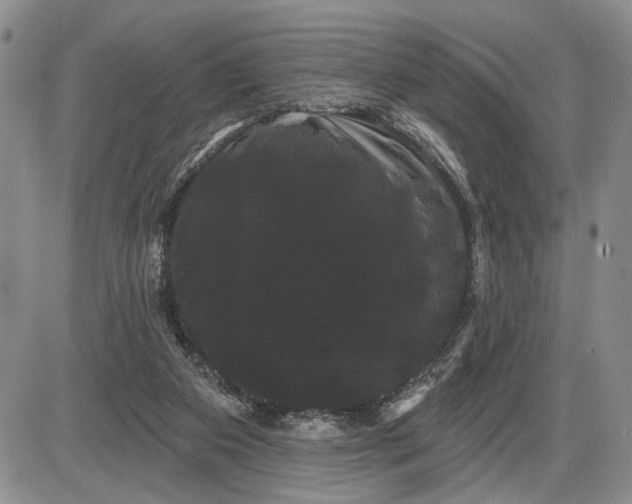 X0000085220113200703231543