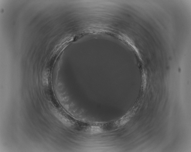 X0000085220114200703231543