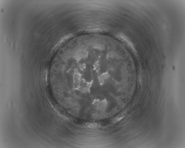 X0000085220115200703231543