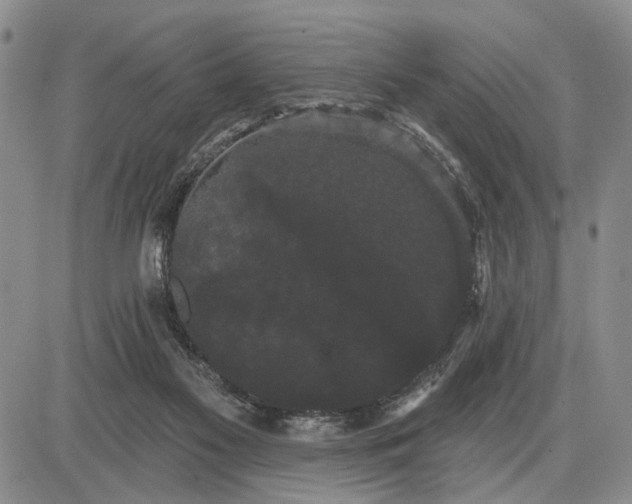 X0000085220117200703231543