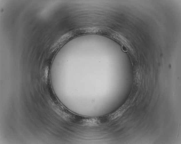 X0000085220118200703231543
