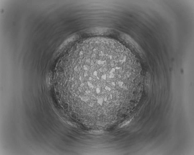 X0000085220119200703231543