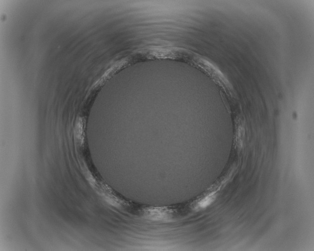X0000085220121200703231543