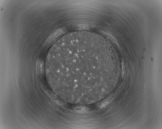 X0000085220123200703231542