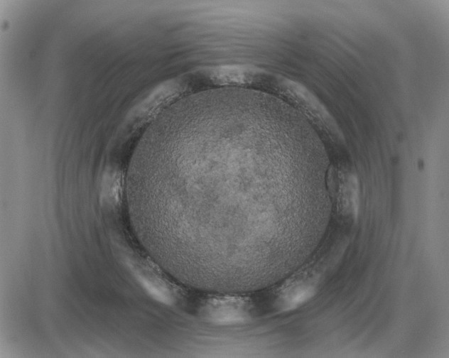 X0000085220125200703231542
