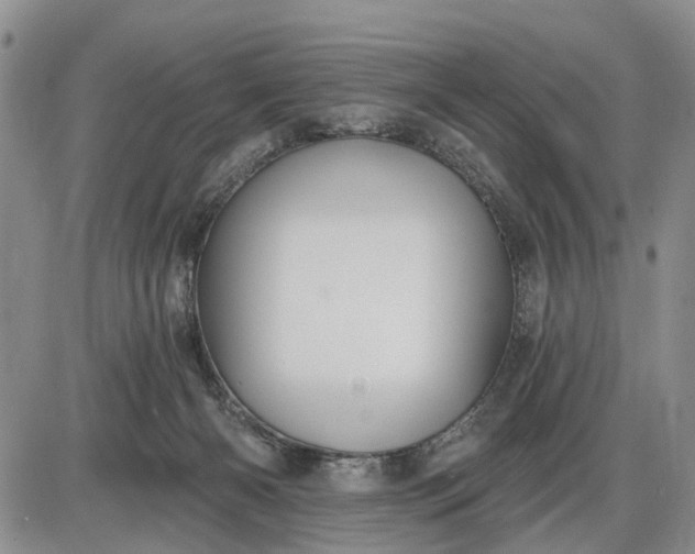 X0000085220126200703231542