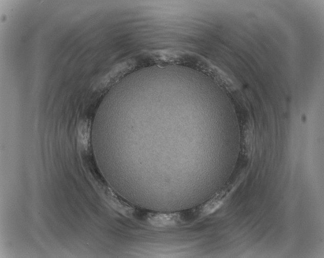 X0000085220129200703231542