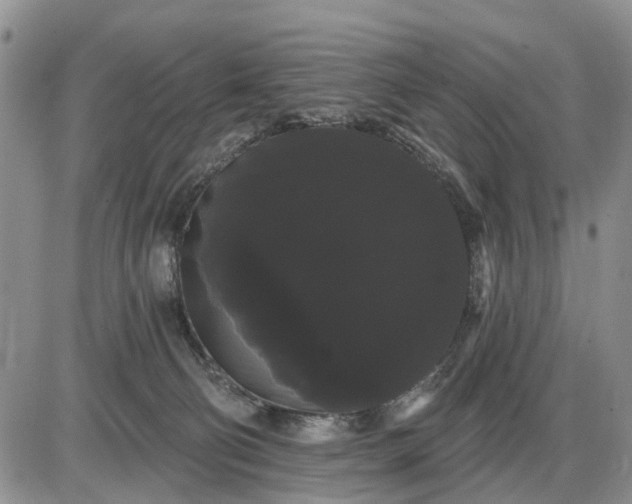 X0000085220130200703231542
