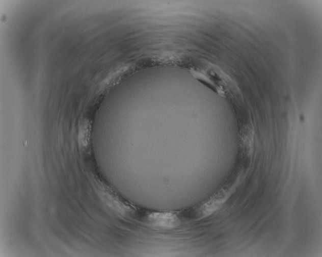X0000085220133200703231542