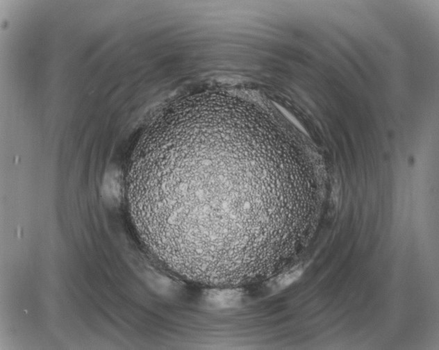 X0000085220135200703231542