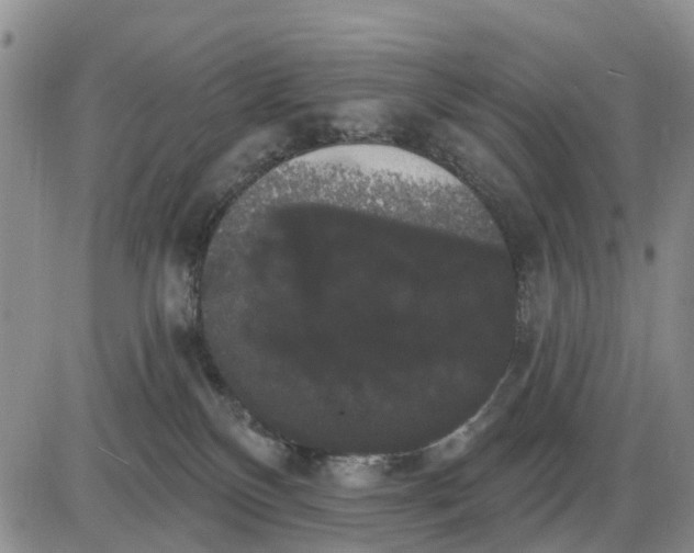 X0000085220136200703231542