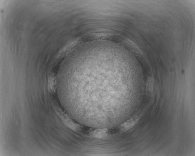 X0000085220138200703231542