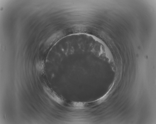 X0000085220144200703231542