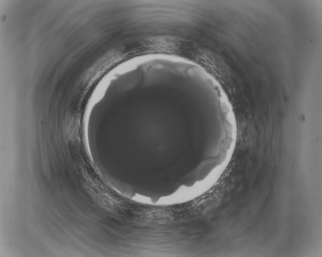 X0000085220146200703231541