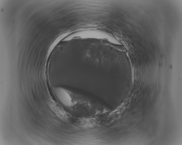 X0000085220147200703231541