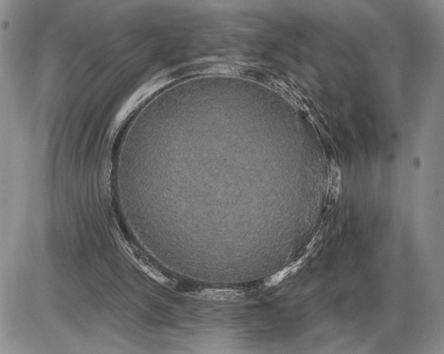 X0000085220150200703231541