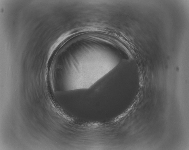 X0000085220152200703231541