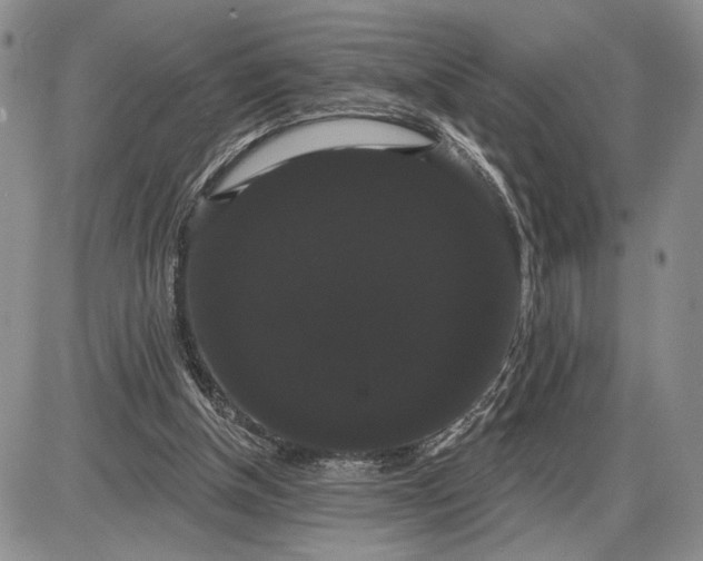 X0000085220154200703231541