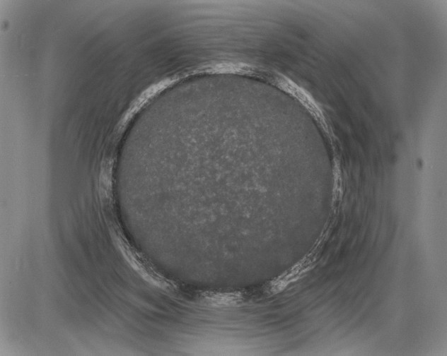 X0000085220155200703231542
