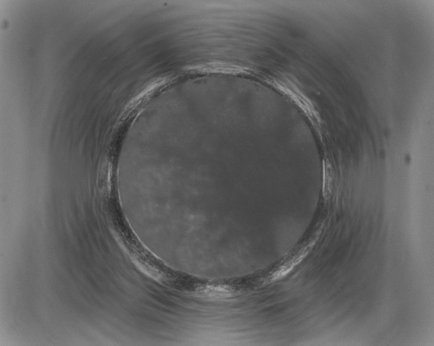 X0000085220157200703231542