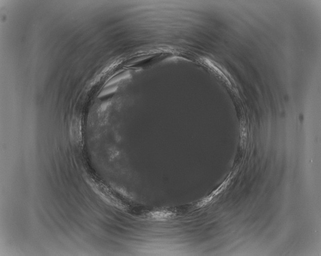 X0000085220158200703231542