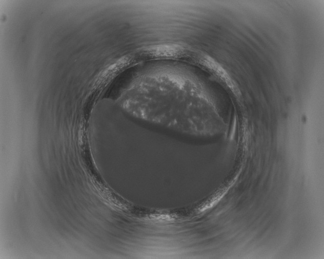 X0000085220161200703231542