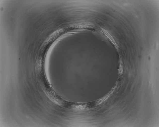 X0000085220163200703231542