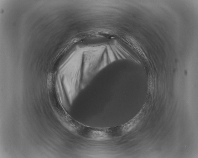 X0000085220167200703231542