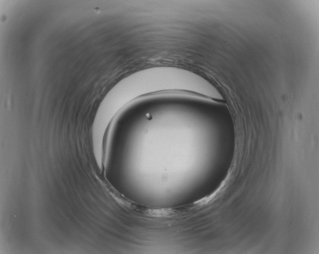 X0000085220192200703231542