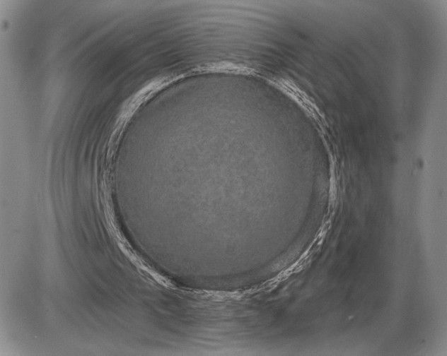 X0000085220193200703231541