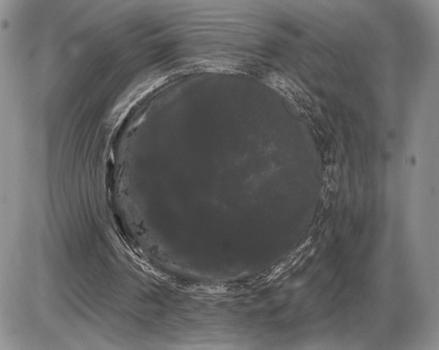 X0000085220194200703231541