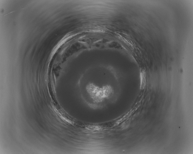 X0000085220195200703231541