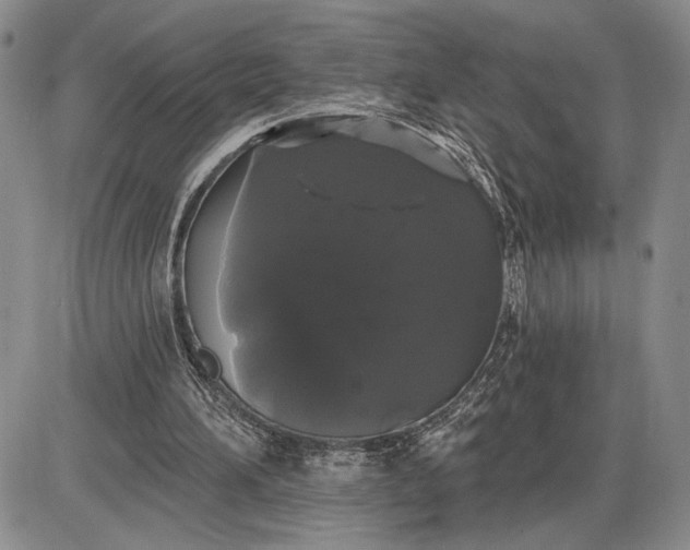 X0000085220196200703231541