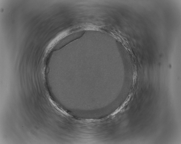 X0000085220197200703231541