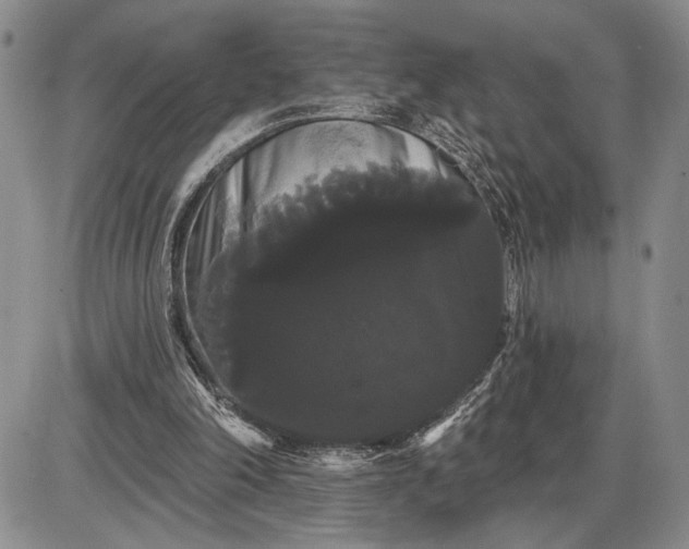 X0000085220198200703231541