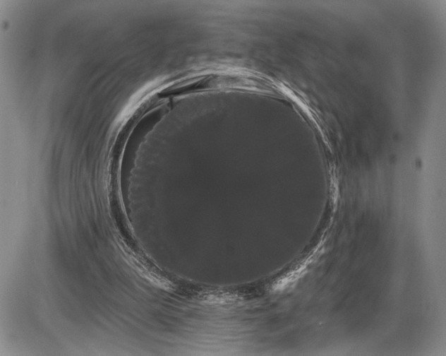 X0000085220199200703231541